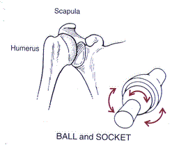 ball and socket joint